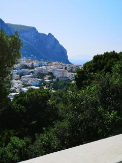 Villa I Pini - Capri - 5