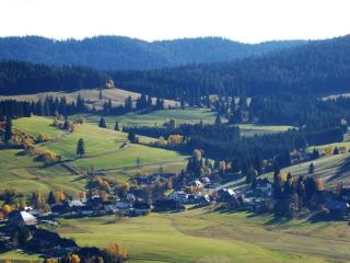 Nice apartment in Bonndorf im Schwarzwald - 4