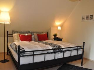 Attractive apartment in Diemelsee - Diemelsee - 6