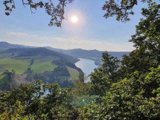 Attractive apartment in Diemelsee - Diemelsee - 1