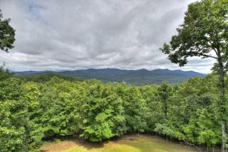 Mount Watson Lodge - Mineral Bluff - 3