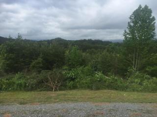 Eula Mae | Ocoee River Area - Copperhill - 8