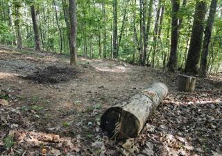 Poplar Ridge Retreat - Blairsville - 4