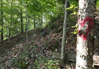 Poplar Ridge Retreat - Blairsville - 3