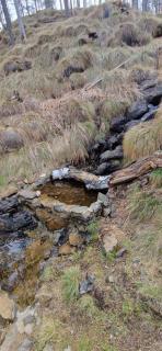 DivčiNovaB2 PREMIUM - 1