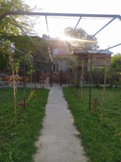 Venerikas Hut (ვენერიკას ქოხი) - Ambrolauri - 1