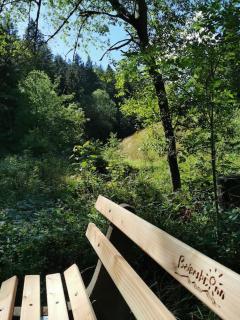 Wohnung im Tonbachtal/ Baiersbronn mit Traumausblick - Baiersbronn - 7