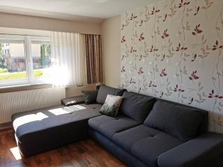 Wohnung im Tonbachtal/ Baiersbronn mit Traumausblick - Baiersbronn - 4