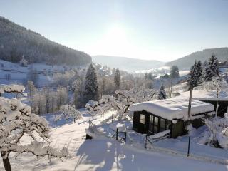 Wohnung im Tonbachtal/ Baiersbronn mit Traumausblick - Baiersbronn - 1