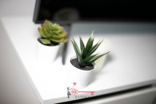 Tiffany's Studio - Lugano in Style -By EasyLife Swiss - Lugano - 1