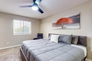 Chandler's Hidden Gem - Chandler - 4