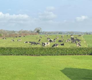 Country Hideaway - Limerick - 3