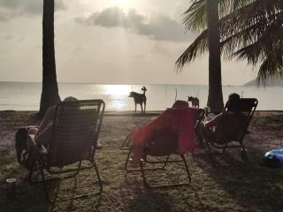 Links Sunset Beach House - Amphoe Koksamui - 9
