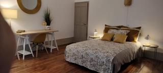 Grand Appartement Hyper Centre Castres 5 Chambres 10 personnes - Castres - 8