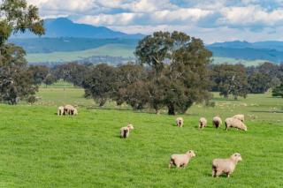 Linleigh Farmhouse With Mountain Views - Barwite - 8