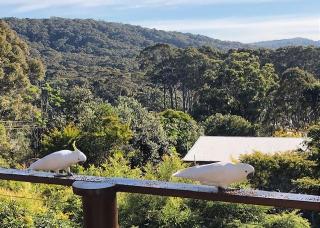Carr Street Murramurang National Park - Durras - 9
