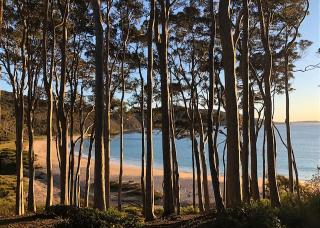 Carr Street Murramurang National Park - Durras - 4