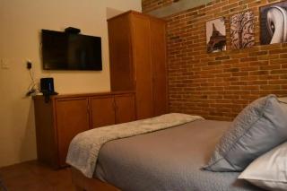 CASAS FREDA - Centro Historico Departamentos - San Luis Potosí - 8