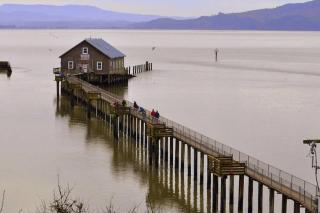 Tiki Escape w/ Amazing Mountain and Marsh Backdrop - Rockaway Beach - 6