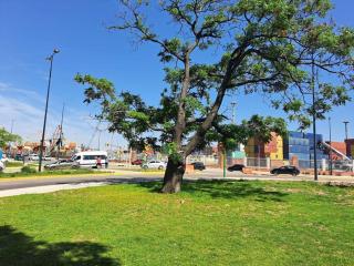 2 dormitorios, parking, gran vista - Montevideo - 2