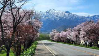 Hotel Edel Warme - Furano - 9