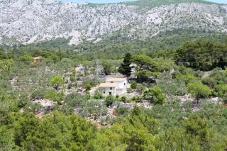Secluded holiday house Zivogosce - Mala Duba, Makarska - 19811 - Igrane - 0