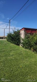 Alquimia Qi del Mar - 7