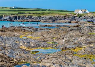 Quillets - St Merryn - 3
