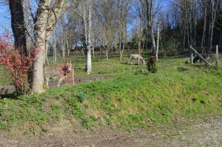 Gites du Château de Lestang - Auzits - 5