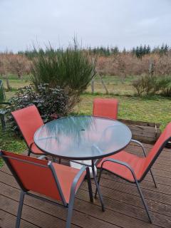 Cottage avec terrasse privative à 15 km d'Orléans - Ardon - 7