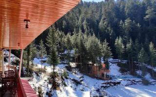 Junga Retreat and Tree House by StayApart - 7