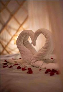 Vakantiewoning in monumentale boerderij met yurt - 4