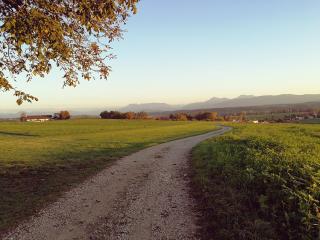 Ferienwohnung Knospe - Waging am See - 9