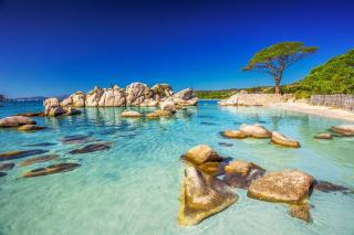 Petit nid douillet à deux pas de Santa Giulia - Porto-Vecchio - 8