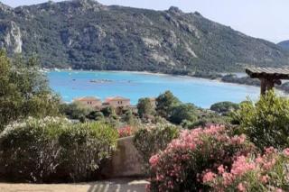Petit nid douillet à deux pas de Santa Giulia - Porto-Vecchio - 6