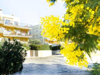 Apartamento con terraza a 150 m de la playa de Grifeu, ideal para 4 personas - ES-228-50 - 5