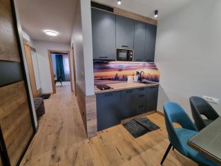 Alpha lux C520 - Aparthotel Vucko - Privatni apartman - Jahorina - 2