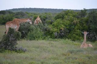 Beyond Cui Bono - Travel Addo Group - 3