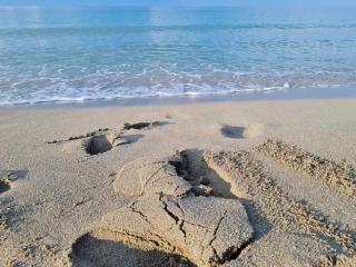 Azzurro Mare Aparthotel - 3