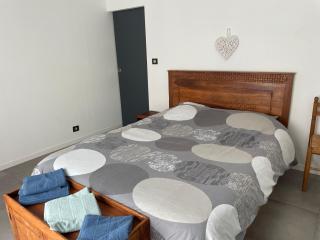 Grande villa avec piscine et spa - Longages - 8
