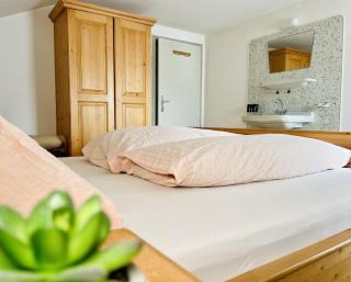 Pop-up Apartment - Zentral, Balkon, Wandern-biken-ski - Hart im Zillertal - 5