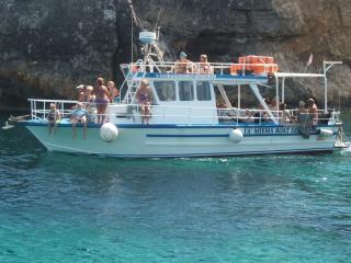 Comino Gozo Private Boat Trips Charters - Għajnsielem - 4