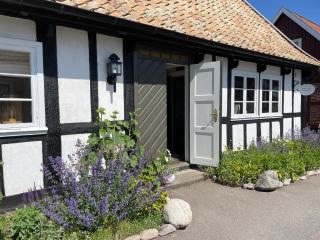 Elins Lycka i Viken - Viken - 0