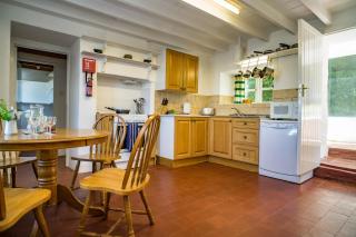 Garden Cottage Newcastle Emlyn - Newcastle Emlyn - 8