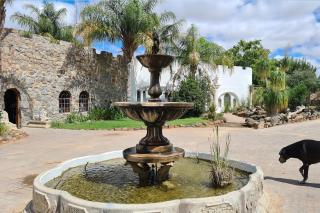 Bezalel Wine & Brandy Estate - 0