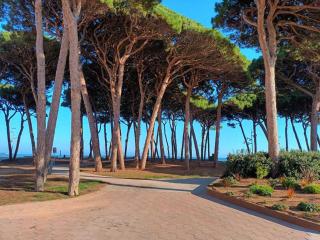 Apartamento completo delante de la playa - La Pineda - 8