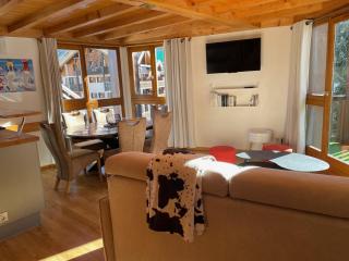 PLEIN SUD AMBIANCE CHALET - Valloire - 1