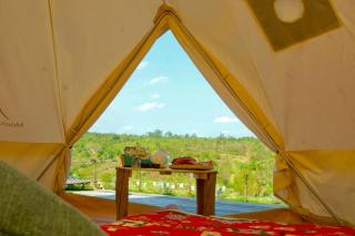 LakHill Farmstay - 8