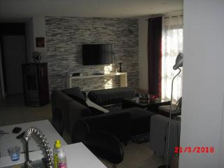 Neuville de Poitou, maison avec vue - 8