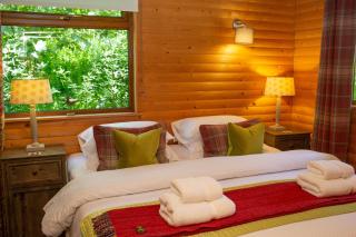 Fiddlers Green Log Cabin Tenby - Saint Florence - 9